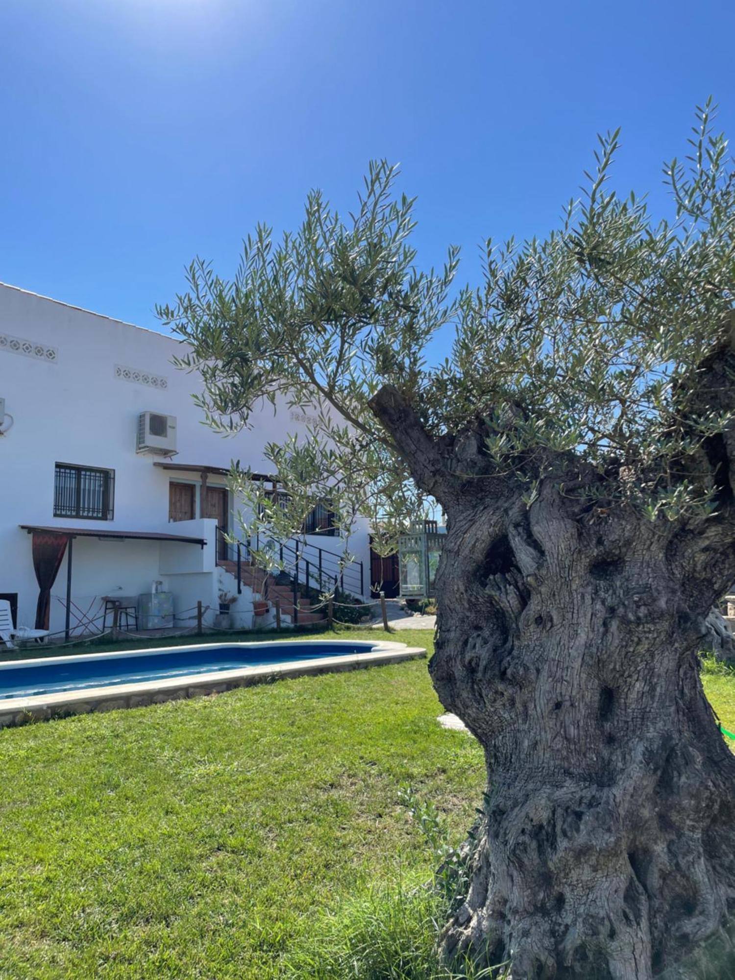 Villa Casa Rural El Miajon El Campo  Exterior foto